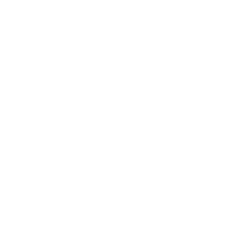 Altius logo
